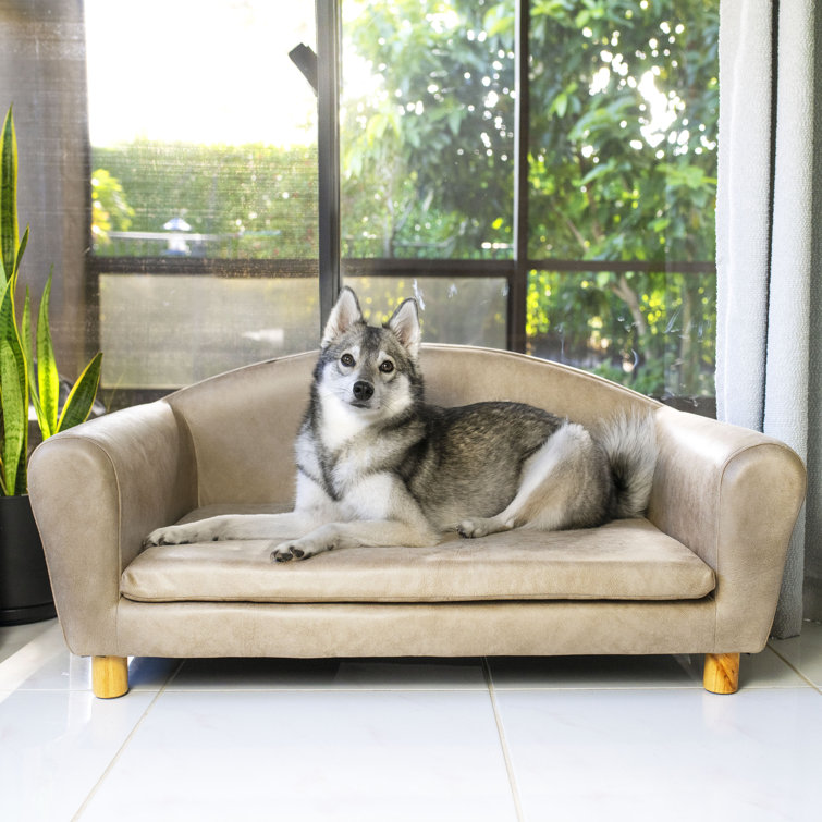 Wayfair dog store sofa bed